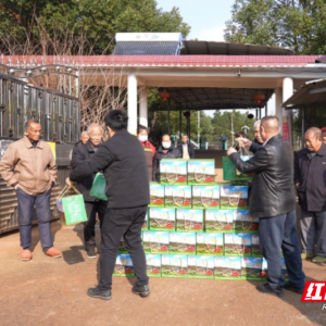 临武县南强镇：红薯粉里的大情怀