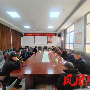 凤凰县：科技赋能谋发展  擘画猕猴新蓝图