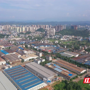 嘉禾县：以“单项冠军”为钥  开启产业强县新征程