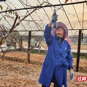 宜章县玉溪镇西门村：枝条粉碎变“肥宝” 生态还田促生产