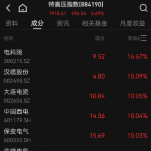 4万亿投资引爆，特高压掀涨停潮！政策利好+旺季双驱动，社保重仓的旅游出行股抢先看 ...