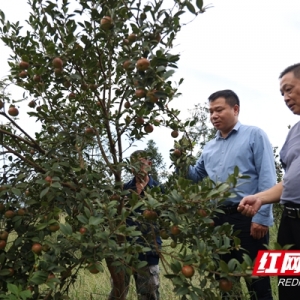 洞口：幸福印刻在笑容里