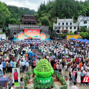 桂东县：3.6亿次传播让县域故事“声”入人心