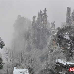 组图 | 张家界国家森林公园迎来降雪天气