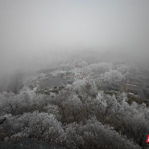 组图丨琼枝玉树映飞山 靖州雾凇绘就冬日诗画