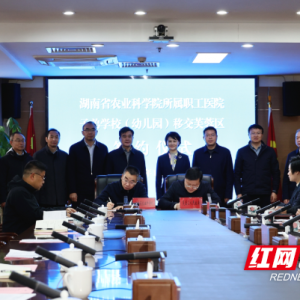 “大院”+“大城”，1+1>2的共生