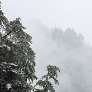 【每日一图@湖南】张家界冬日限定奇观！峰林裹银装，雾凇美出圈 ...