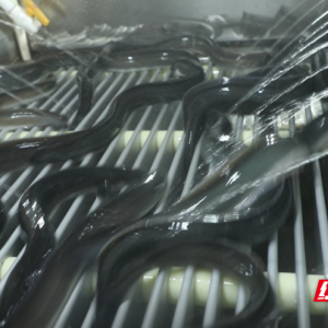 资兴鳗鱼养殖基地：自动化赋能产销两旺 助力现代渔业高质量发展 ...