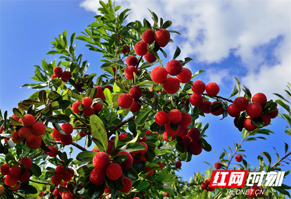 3.山 刘刚摄_14.jpg