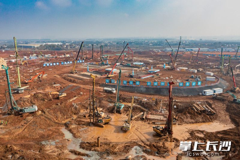 1月23日，长沙奥体中心建设现场，百余台“钢铁巨人”在作业。 均为长沙晚报全媒体记者邓迪摄