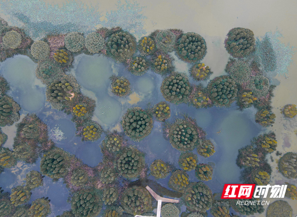 DJI_0697.jpg
