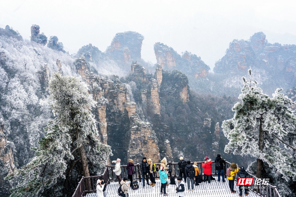 nEO_IMG__DSC6633 拷贝.jpg