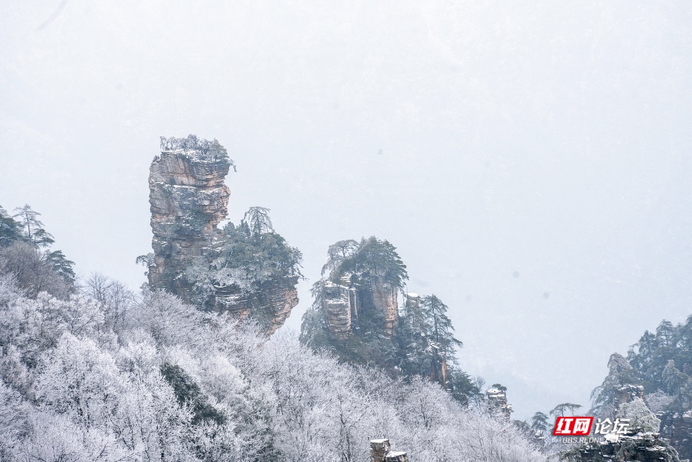 nEO_IMG__DSC6554 拷贝.jpg