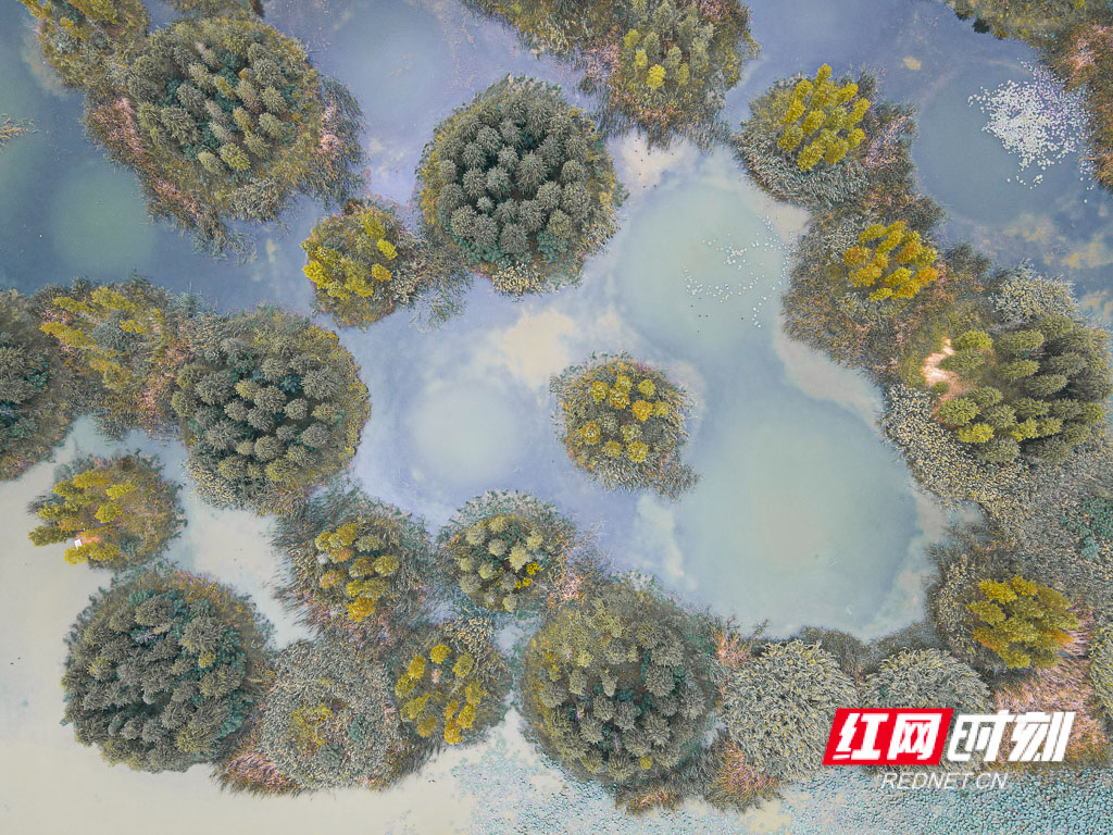 DJI_0716.jpg