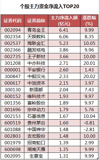 个股主力资金净流入TOP20.png