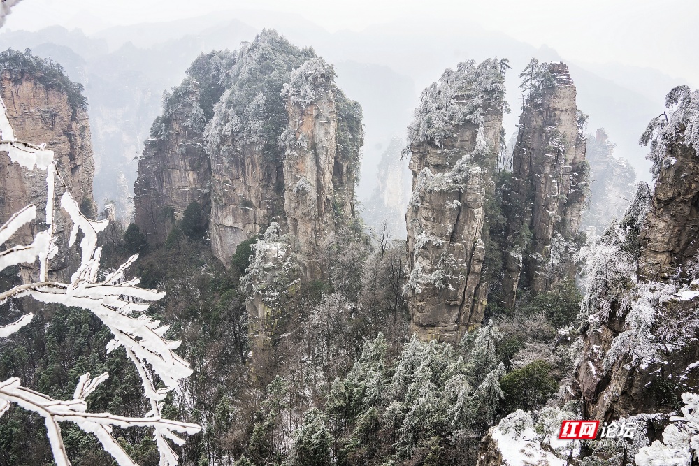 nEO_IMG__DSC7557 拷贝.jpg