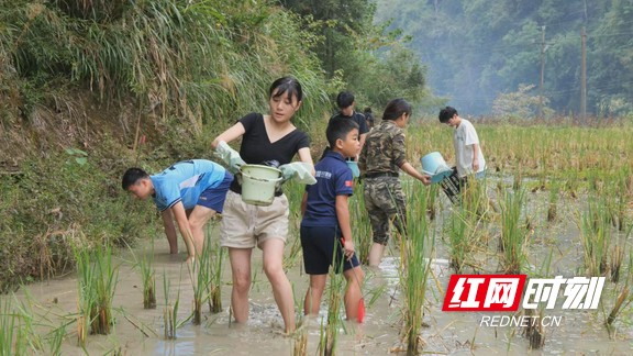 图片11.marked.jpg