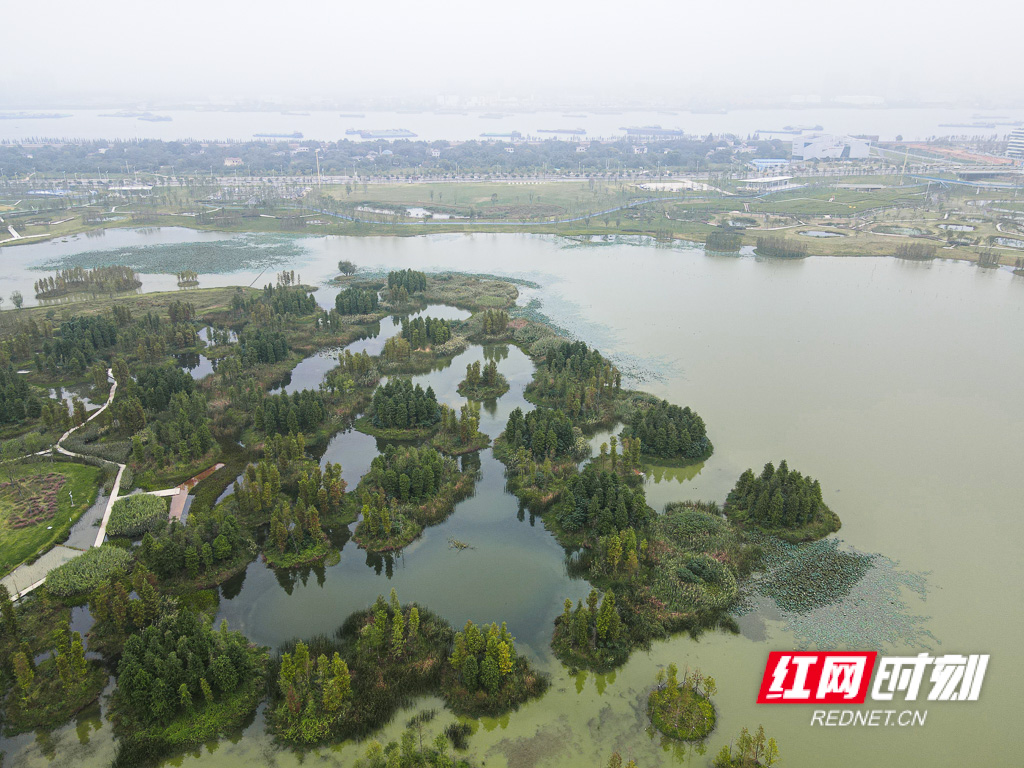 DJI_0735.jpg
