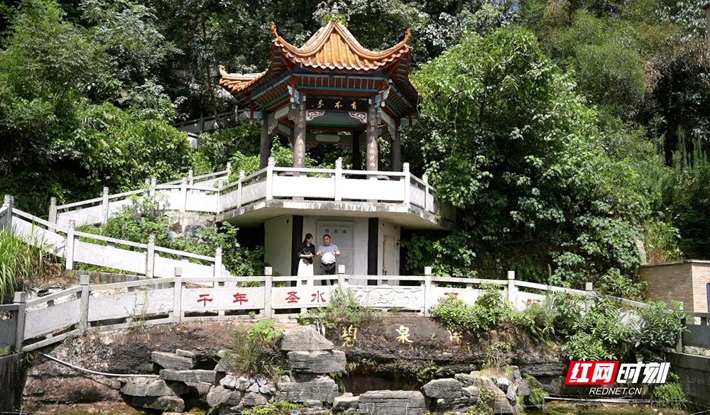张英与湖南农业大学教授在碧泉潭规划研学培训课程。.jpg