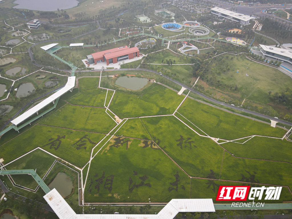 DJI_0669.jpg
